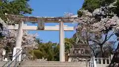 武田神社の鳥居