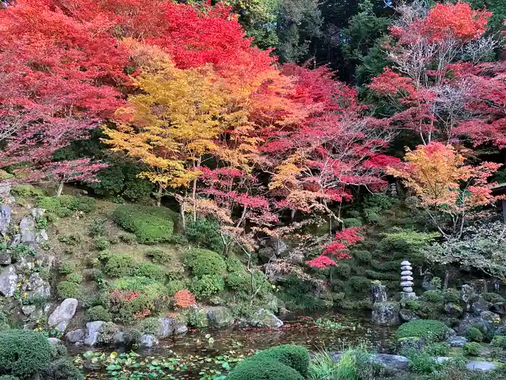 金剛輪寺(滋賀県)