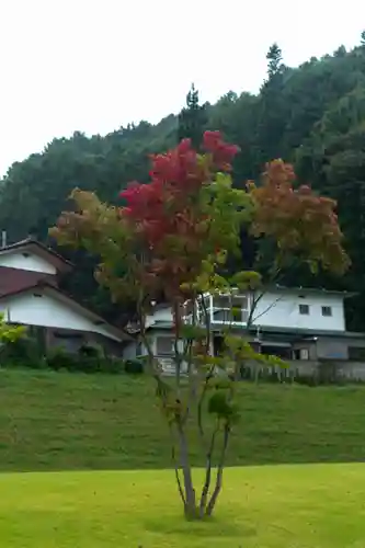 諏訪大社上社前宮(長野県)