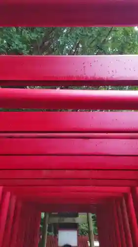 津島神社の鳥居