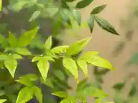 西方山極楽寺(岐阜県)