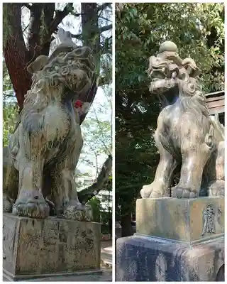 青山熊野神社の狛犬