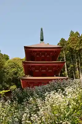 高蔵寺(福島県)