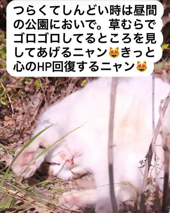 専念寺(大阪府)