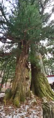 塩原八幡宮の周辺