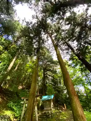 子檀嶺神社(長野県)