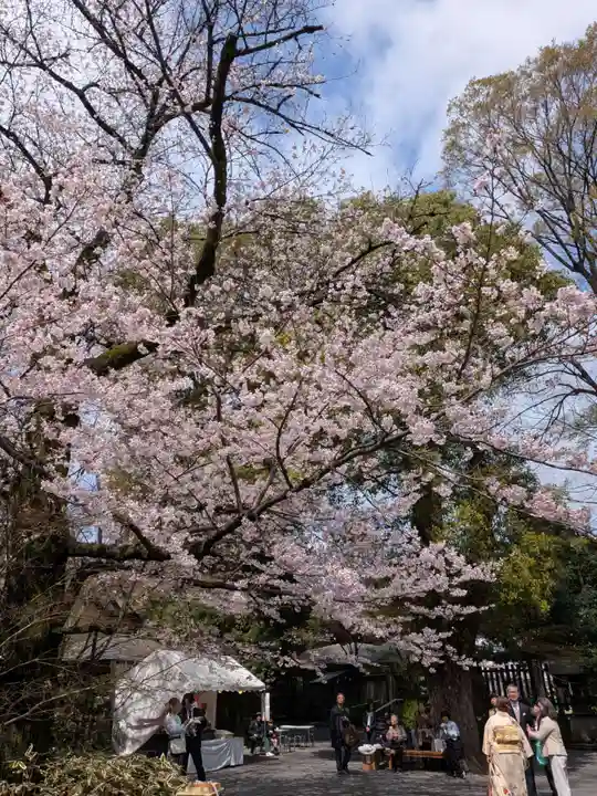 阿佐ヶ谷神明宮(東京都)