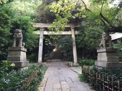 赤坂氷川神社の鳥居