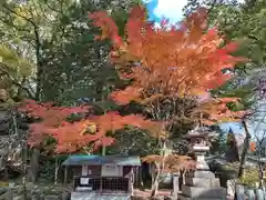 富部神社(愛知県)