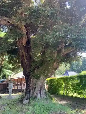 大戸神社(千葉県)