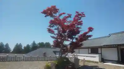 秋葉山本宮 秋葉神社 上社(静岡県)