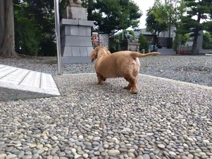 杉杜白髭神社(福井県)
