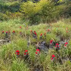 那須温泉神社の地蔵