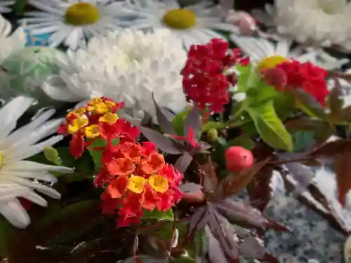 滑川神社 - 仕事と子どもの守り神の手水