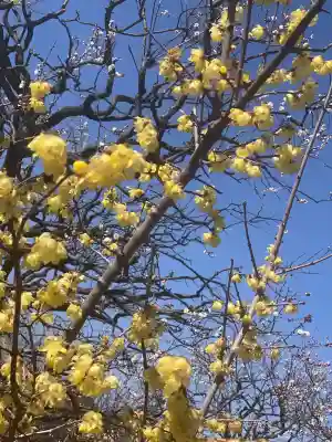 多治速比売神社の{uncategorized: "未分類", other: "その他", undefined: "問題あり", building: "その他建物", grave: "お墓", sacred_gate: "鳥居", guardian: "狛犬", statue: "像", buddha: "仏像", history: "歴史", nature: "自然", garden: "庭園", animal: "動物", pagoda: "塔", temizu: "手水舎", mountain_gate: "山門・神門", sanctuary: "本殿・本堂", subordinate: "末社・摂社", art: "芸術", scenery: "景色", jizo: "地蔵", ema: "絵馬", goshuin: "御朱印", omikuji: "おみくじ", items: "授与品その他", amulet: "お守り", goshuincho: "御朱印帳", eats: "食事", festival: "お祭り", votive_dance: "神楽", shichigosan: "七五三参", wedding: "結婚式", experience: "体験その他", initially: "初詣", around: "周辺", anti_infection: "感染症対策"}
