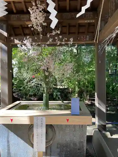 赤坂氷川神社の手水舎