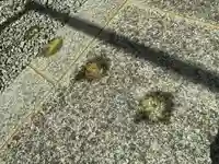 滑川神社 - 仕事と子どもの守り神の景色