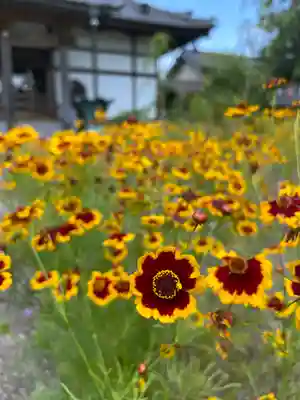 全龍寺(埼玉県)