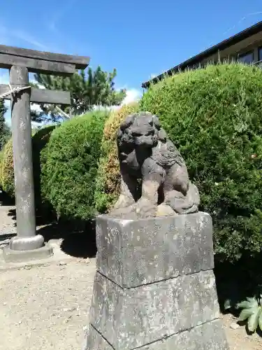 幸宮神社の狛犬