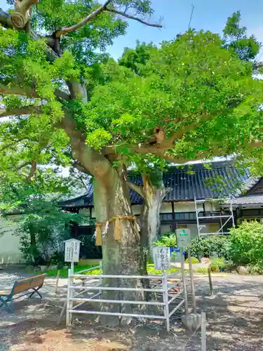 生根神社(大阪府)