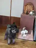 千蔵寺(神奈川県)