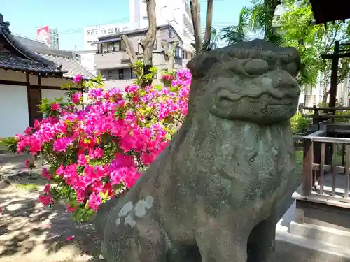 豊崎神社の狛犬