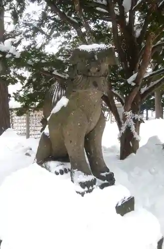 大谷地神社の狛犬