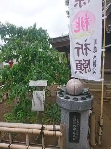 川越八幡宮のその他建物