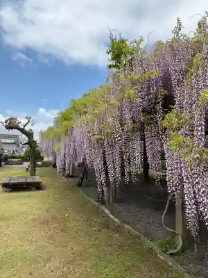 大山祇神社(愛媛県)