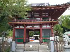 瀧泉寺（目黒不動尊）の山門