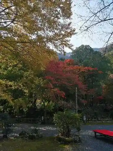 聖寳寺の庭園