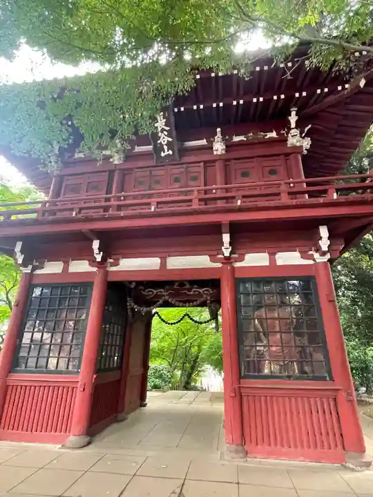 本土寺の山門・神門