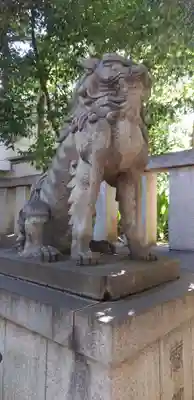 渋谷氷川神社の狛犬