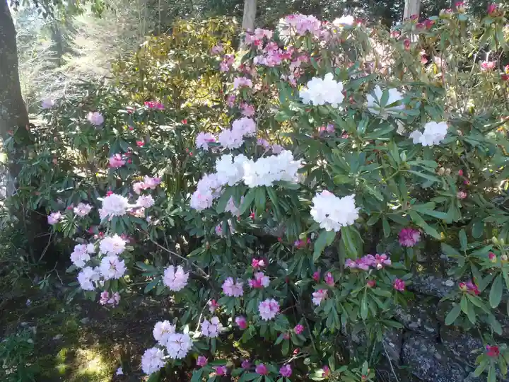 興徳寺(岐阜県)