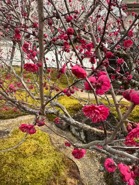 岩津天満宮の自然