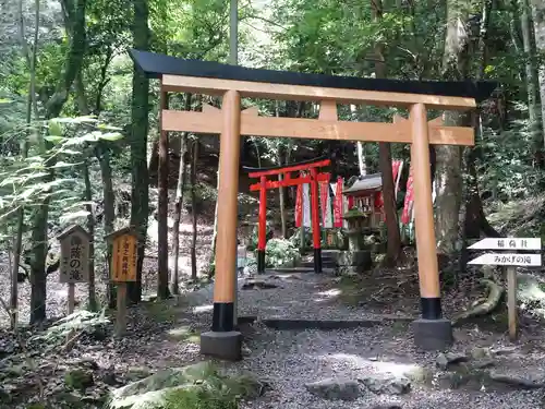 出雲大神宮の鳥居