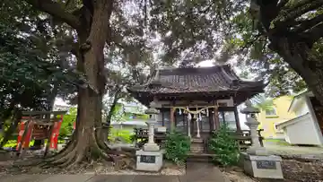 諏訪大神社 (埼玉県)