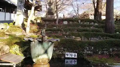 永源寺の自然