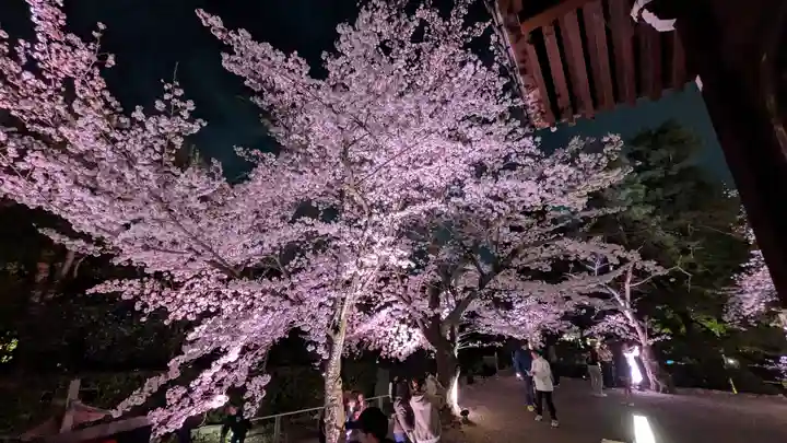知恩院(京都府)