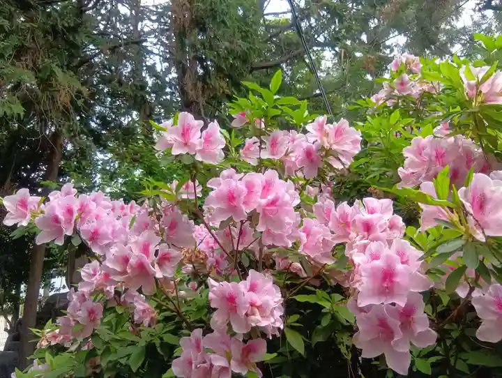 加納天満宮(岐阜県)