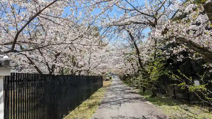 安樂壽院(京都府)