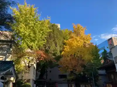 鳥越神社(東京都)