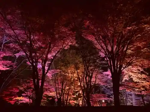 土津神社｜こどもと出世の神さまの景色