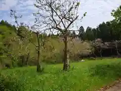 八幡神社の自然