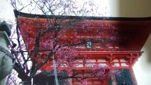 清水寺の山門・神門