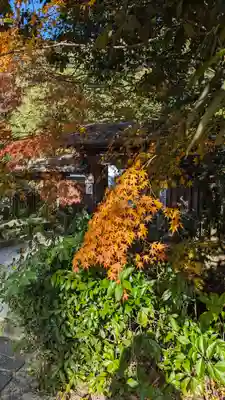 宇治上神社(京都府)