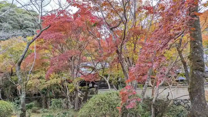 勝持寺(花の寺)(京都府)