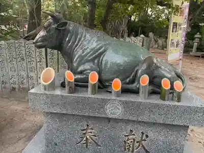 宮地嶽神社(福岡県)