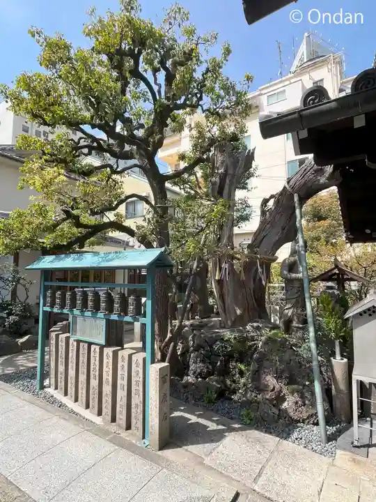 高津山 報恩院の自然