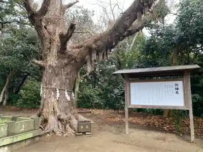 鎌数伊勢大神宮の{uncategorized: "未分類", other: "その他", undefined: "問題あり", building: "その他建物", grave: "お墓", sacred_gate: "鳥居", guardian: "狛犬", statue: "像", buddha: "仏像", history: "歴史", nature: "自然", garden: "庭園", animal: "動物", pagoda: "塔", temizu: "手水舎", mountain_gate: "山門・神門", sanctuary: "本殿・本堂", subordinate: "末社・摂社", art: "芸術", scenery: "景色", jizo: "地蔵", ema: "絵馬", goshuin: "御朱印", omikuji: "おみくじ", items: "授与品その他", amulet: "お守り", goshuincho: "御朱印帳", eats: "食事", festival: "お祭り", votive_dance: "神楽", shichigosan: "七五三参", wedding: "結婚式", experience: "体験その他", initially: "初詣", around: "周辺", anti_infection: "感染症対策"}